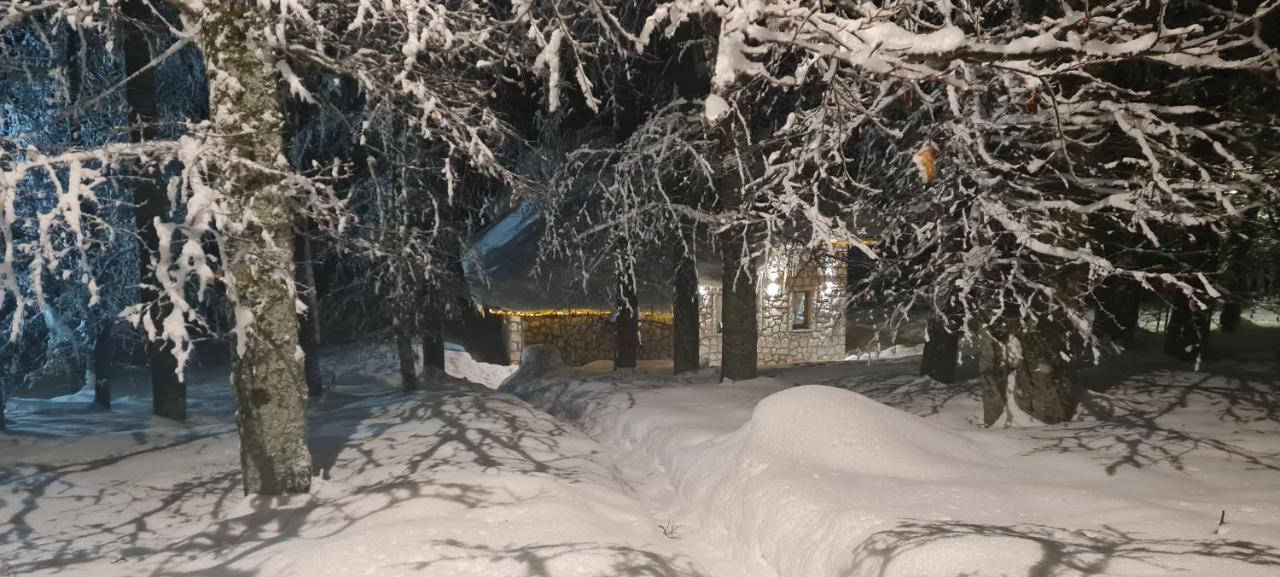 Green Forest Zabljak  Exterior photo