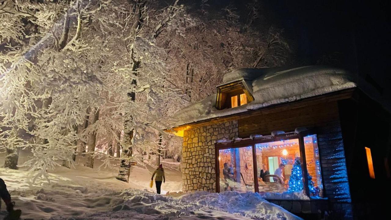 Green Forest Zabljak  Exterior photo