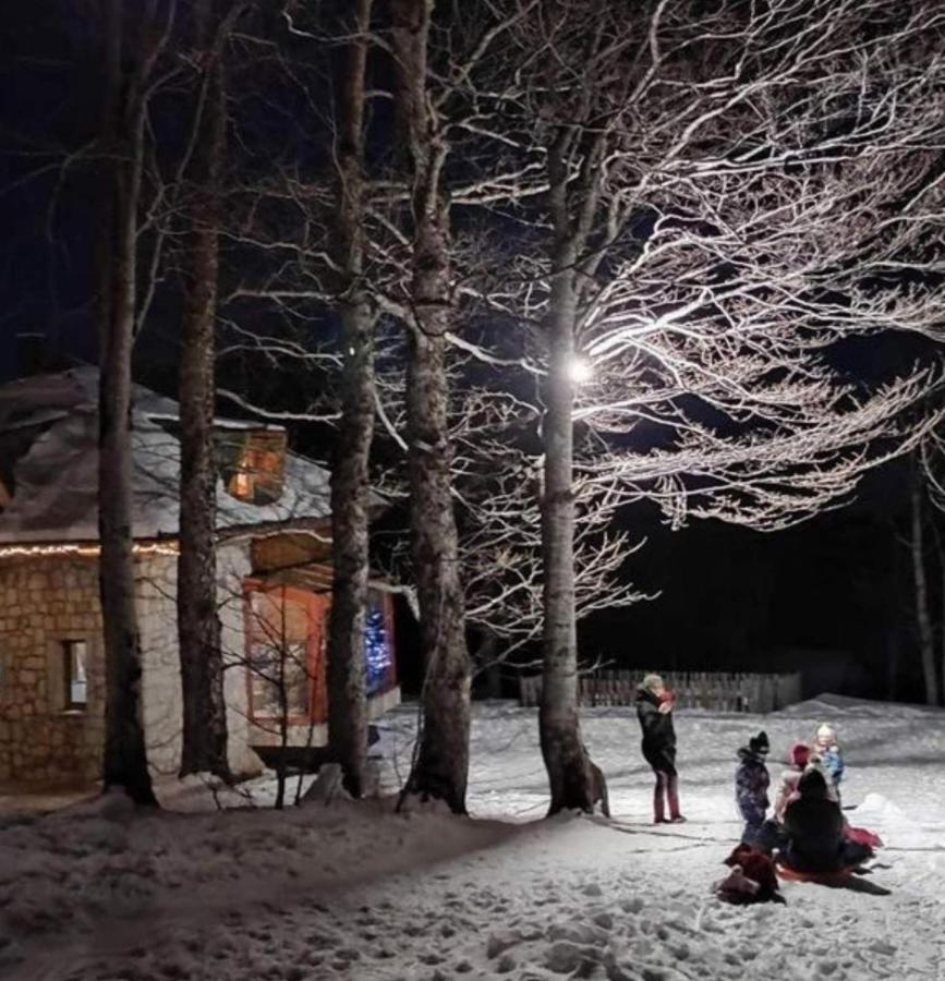 Green Forest Zabljak  Exterior photo