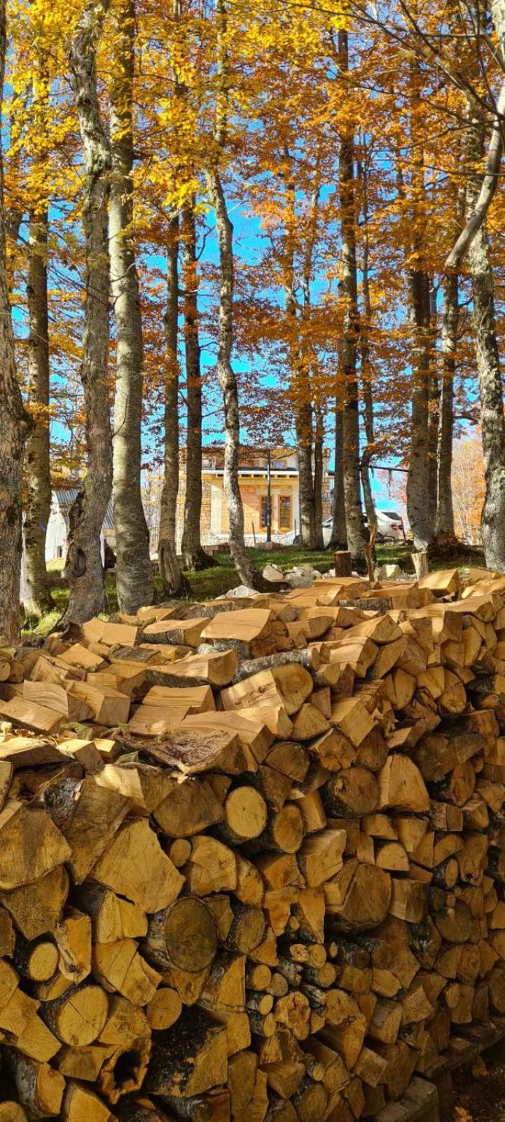 Green Forest Zabljak  Exterior photo