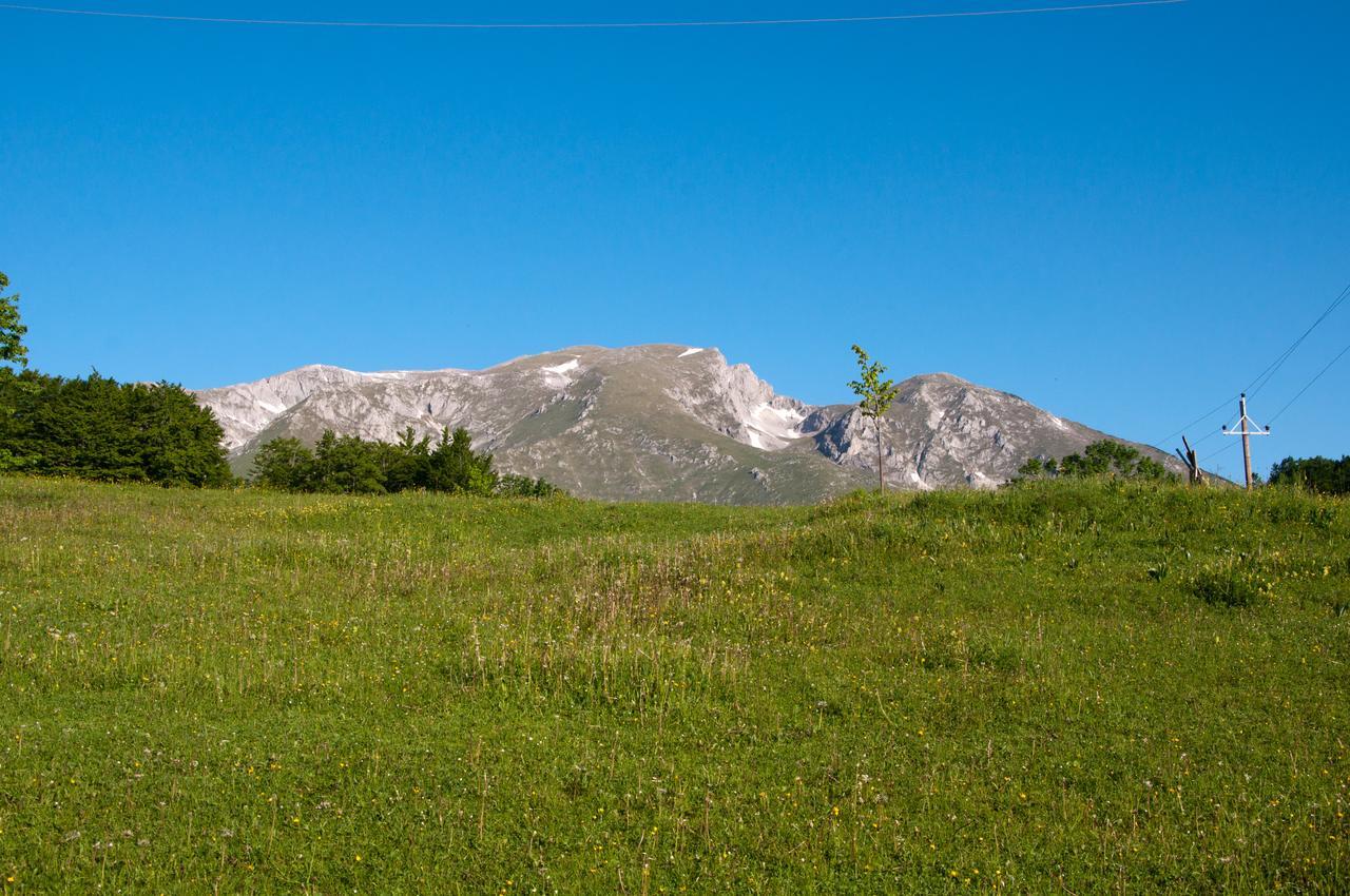 Green Forest Zabljak  Exterior photo