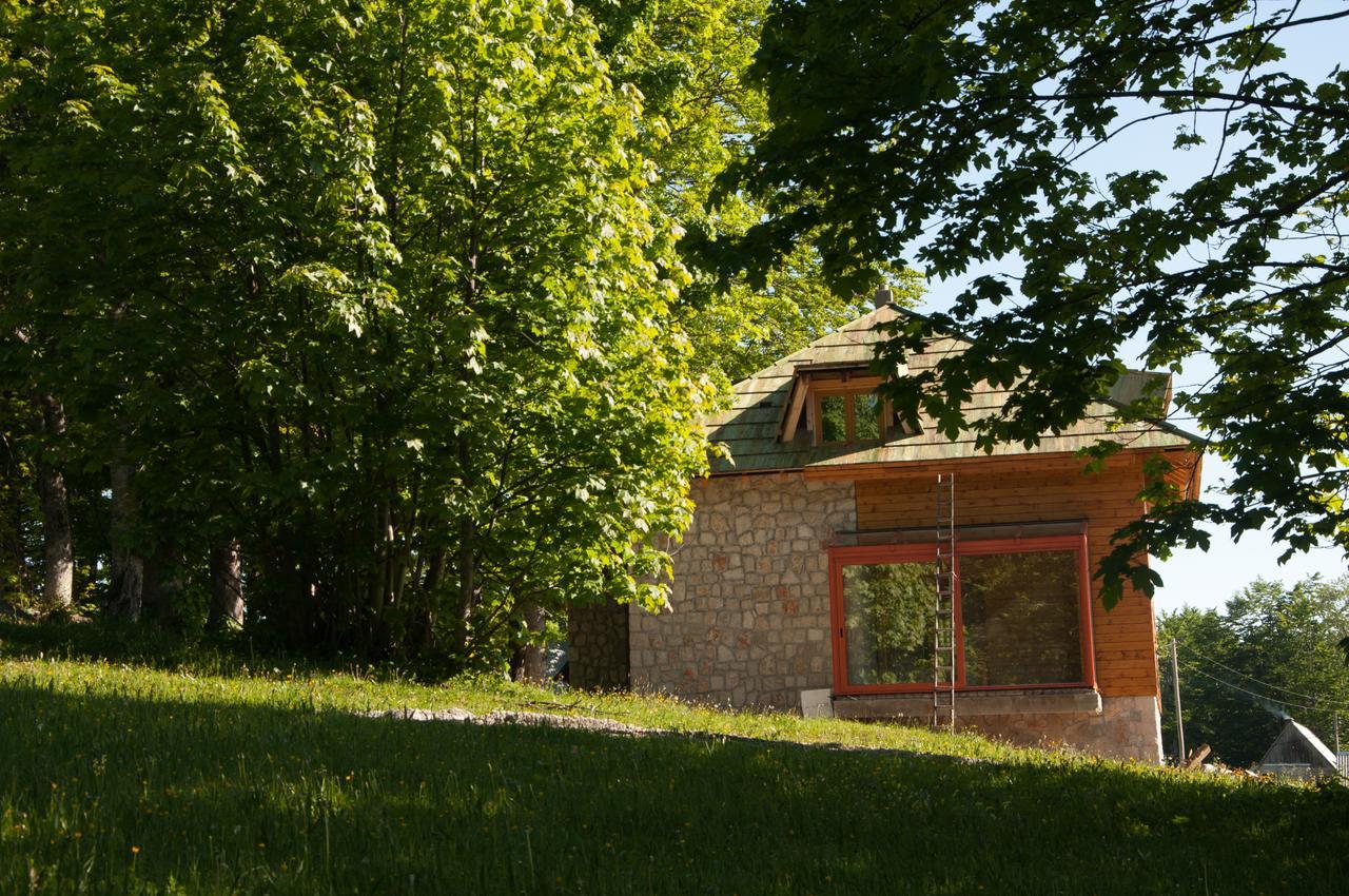 Green Forest Zabljak  Exterior photo