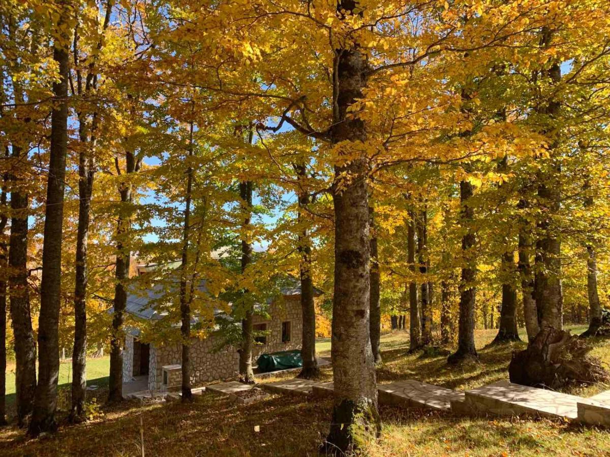 Green Forest Zabljak  Exterior photo