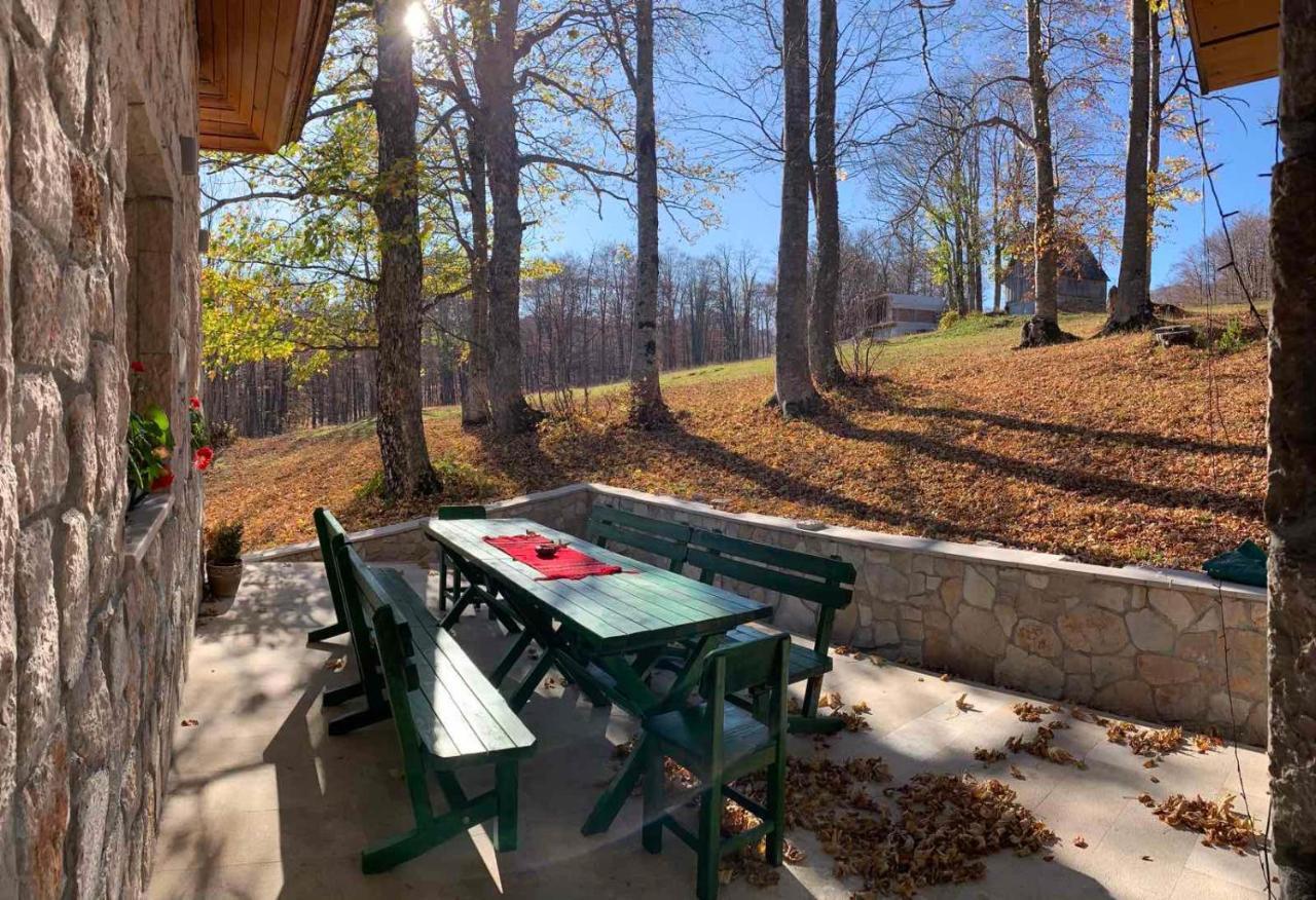 Green Forest Zabljak  Exterior photo